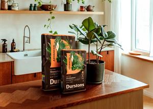 Durstons